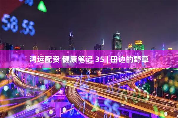 鸿运配资 健康笔记 35 | 田边的野草
