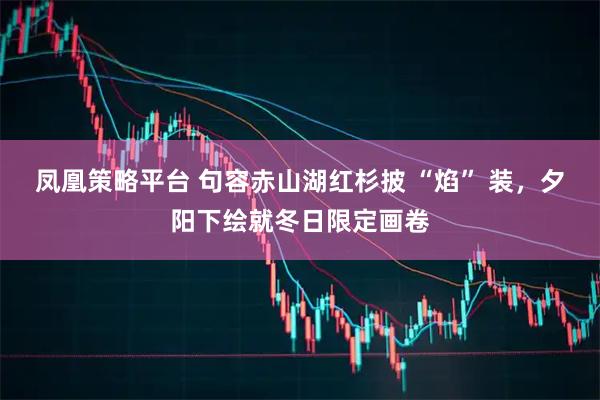 凤凰策略平台 句容赤山湖红杉披 “焰” 装，夕阳下绘就冬日限定画卷