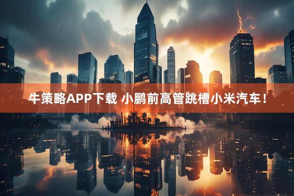 牛策略APP下载 小鹏前高管跳槽小米汽车！
